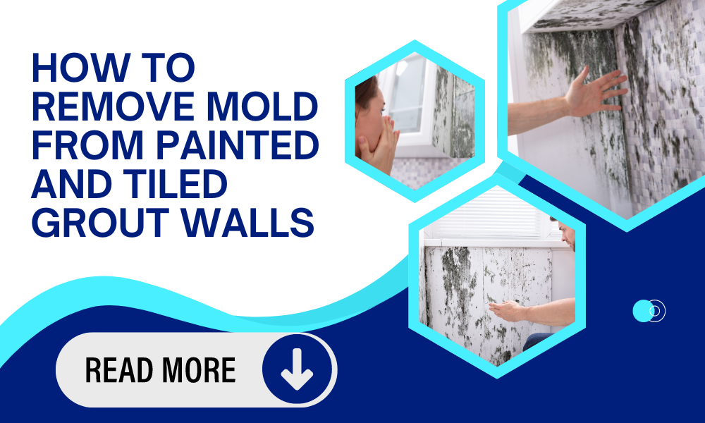 HOW TO REMOVE MOLD FROM PAINTED AND TILED WALLS