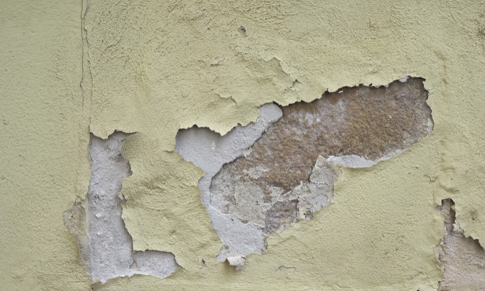 dampness-and-mold-on-a-peeling-painted-wall