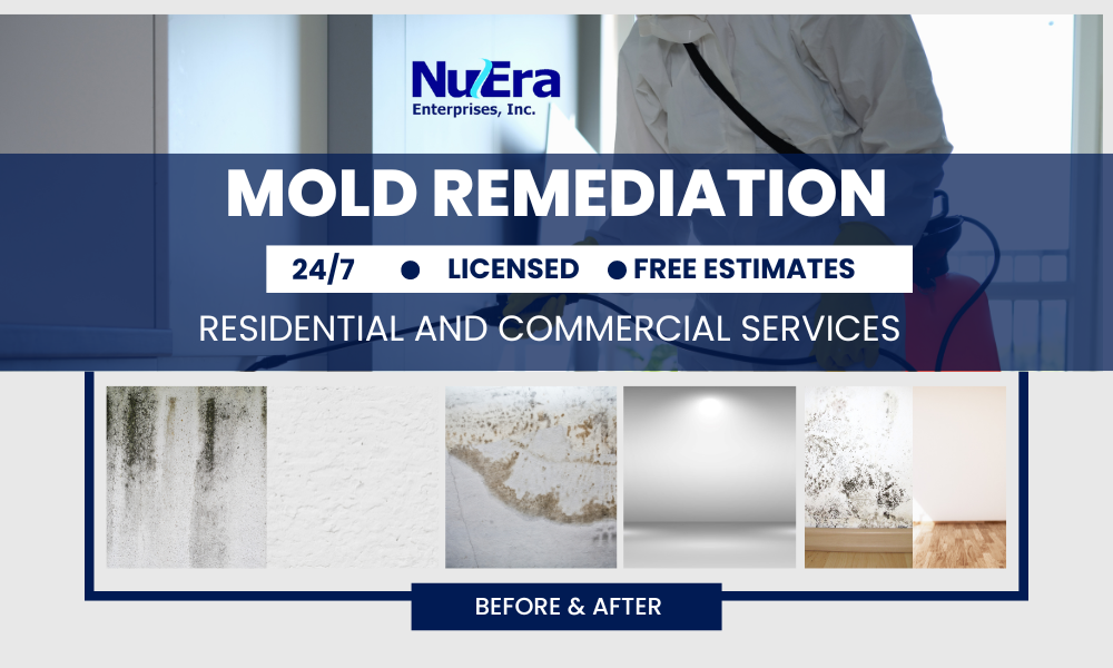 mold-remediation-services-provided-by-NuEra-Enterprises