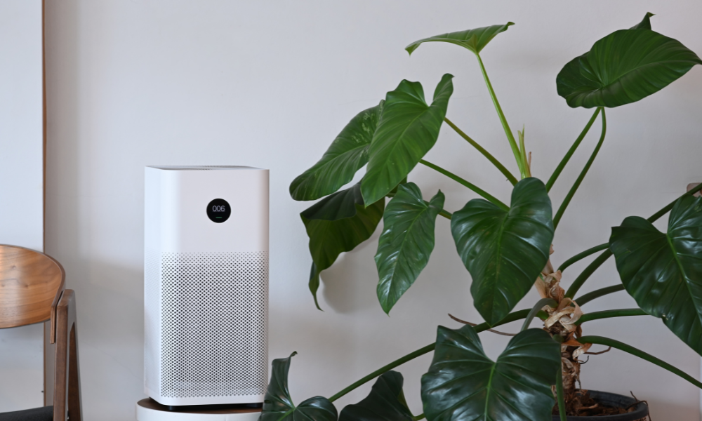 Air purifier and houseplant in living room.